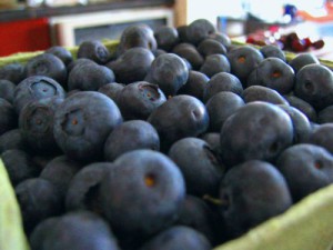 blueberries_blue_berries_393027_l